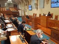 Veřejné slyšení k "Petici pro přijetí zákona o podpoře zahrádkářské činnosti“ 15. 2. 2021 (1)